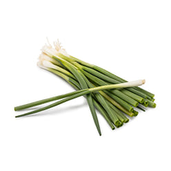 Organic Green Onion 4.5 oz