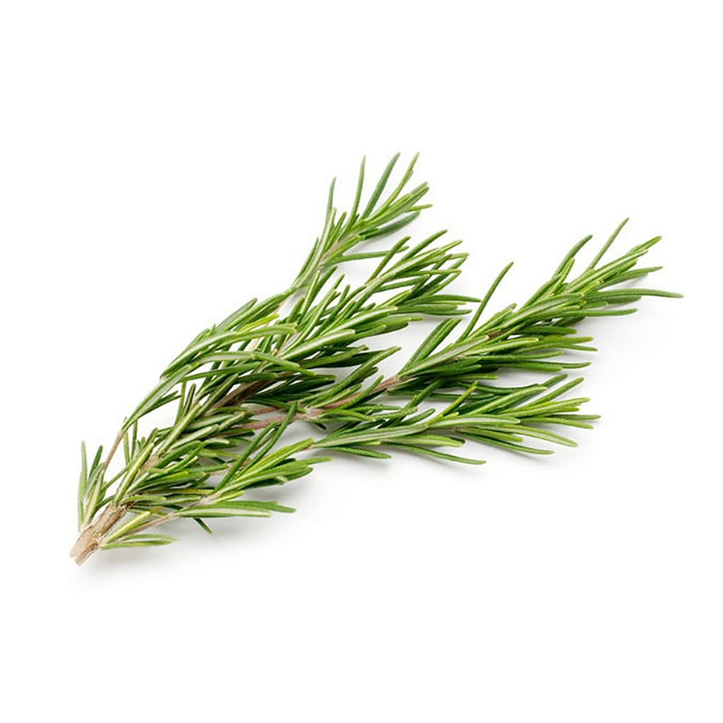 Rosemary 0.75 each