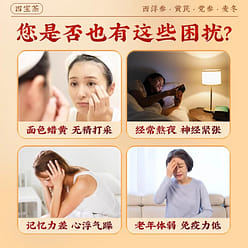 Yuan Qi Four Treasures Tea Maitake Astragalus Codonopsis Pilosulae 50g 50 g