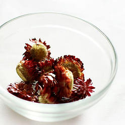 NESTLADY 피로 완화, 풍열 해독, 칠색菊花茶 1 개입