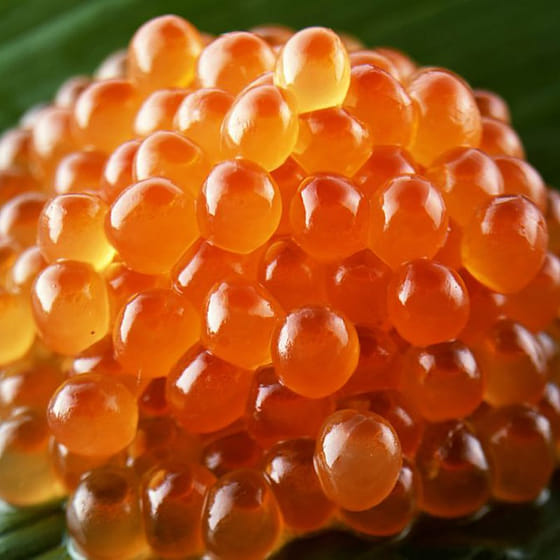 weee_frozen_냉동 이쿠라 쇼유즈케 (간장 양념 연어알) AAA 500 g