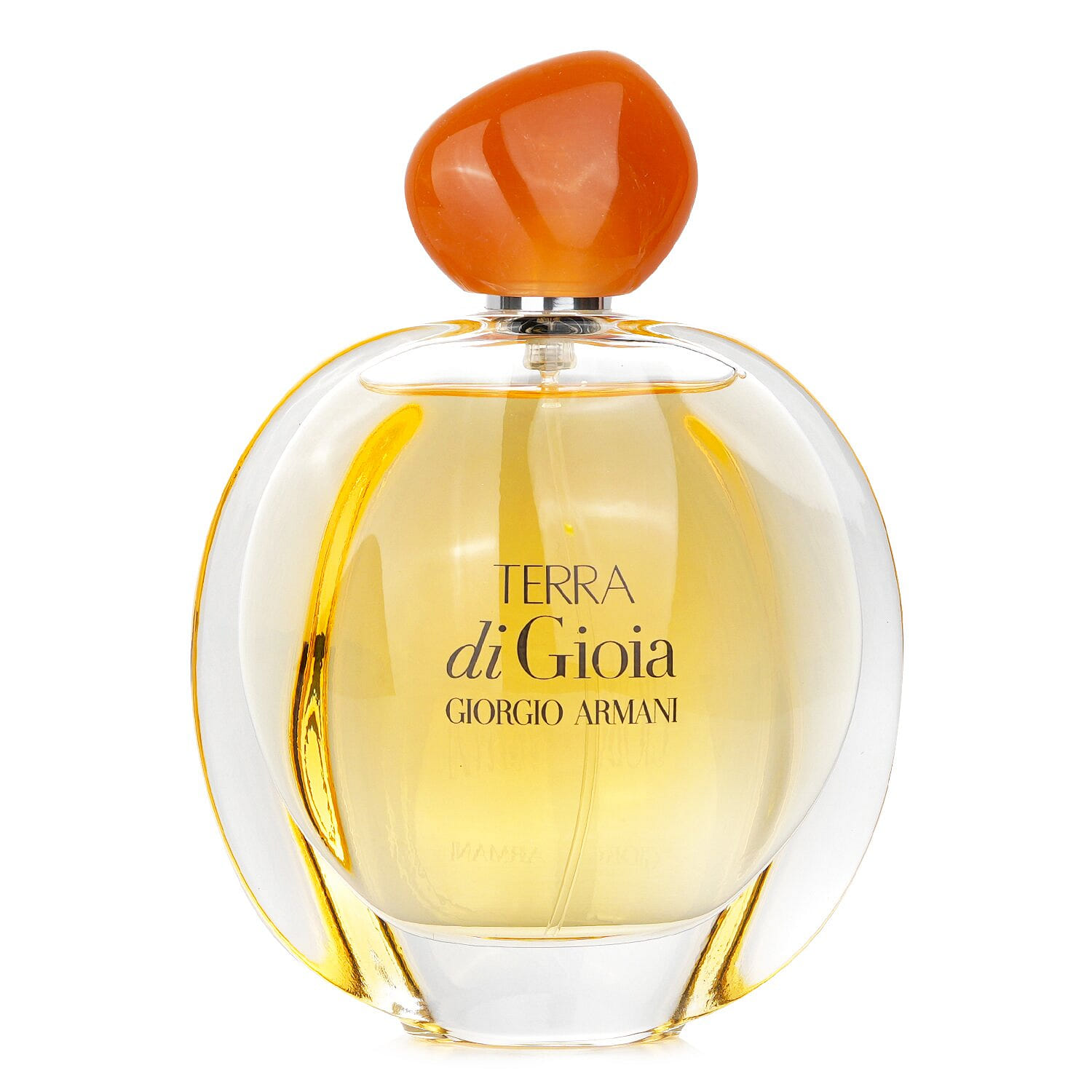 Giorgio Armani Terra Di Gioia Eau de Toilette Spray 100 밀리리터