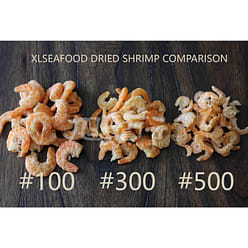 XLSEAFOOD Premium Sun Dried Ecuador Shelled White Prawn Shrimp#500  0.5 Lb (8oz) 8 oz