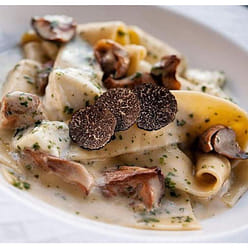 云南美味山珍 【黑松露 干片】“世界三大珍肴”之一 1 盎司