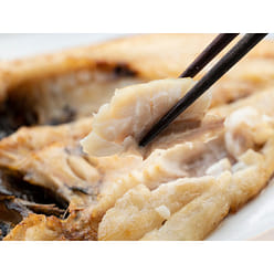 Akamutsu (Nodoguro) 1.5 파운드