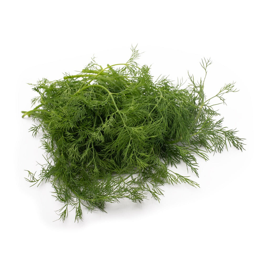 Baby Dill Herb 0.75 オンス
