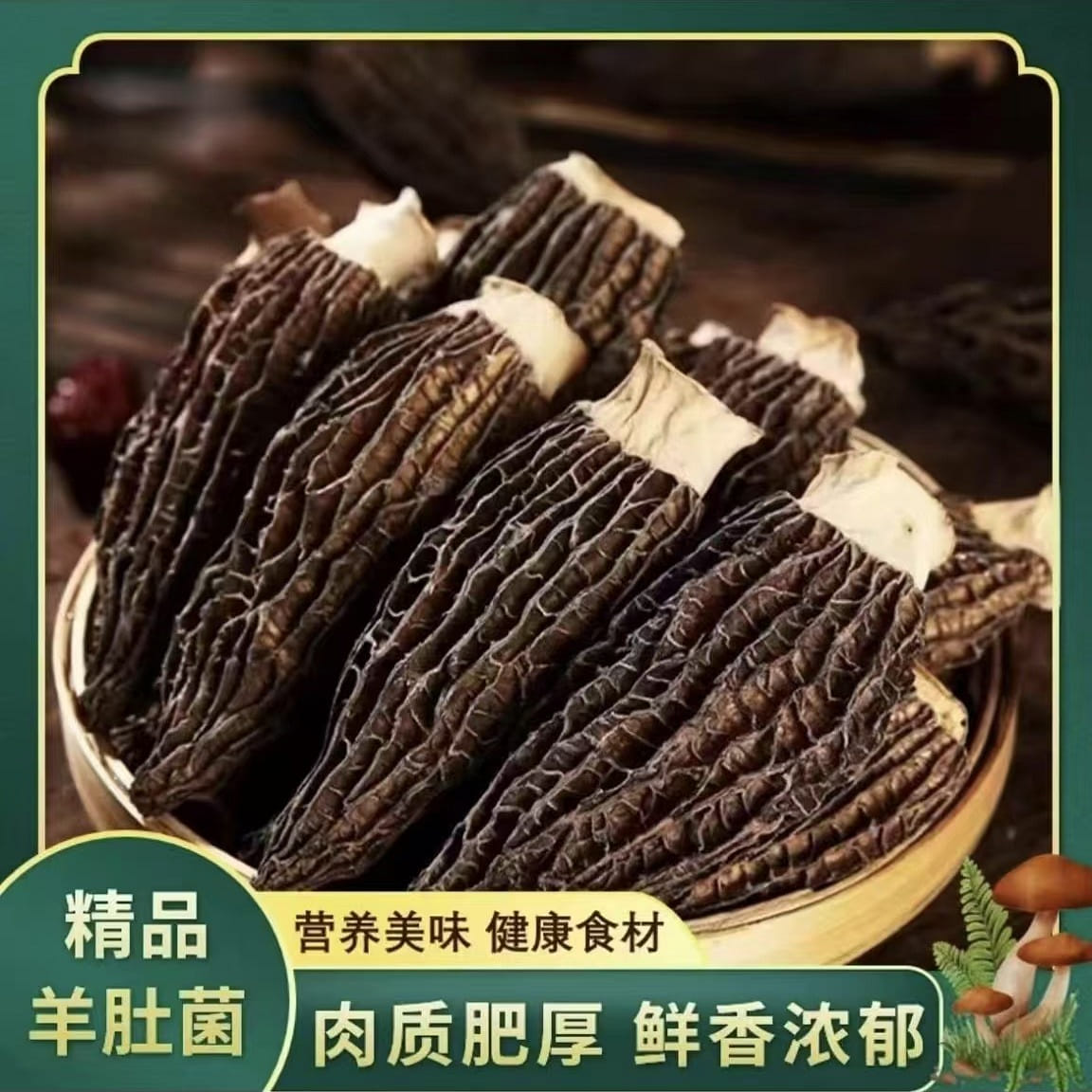 Fine morels are manually selected and packaged 5cm 100 g