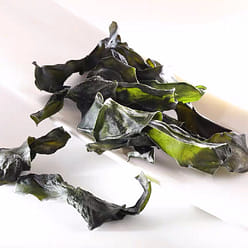 HKJEBN Kelp Bow 150 g