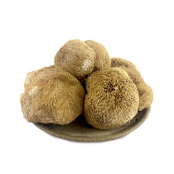 【东北有机特产】天锦有机猴头菇猴头蘑250g*1有机食品猴头煲汤干货 250 克