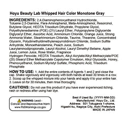 Hoyu Beauty Lab Whipped Hair Color Monotone Gray 125 ml