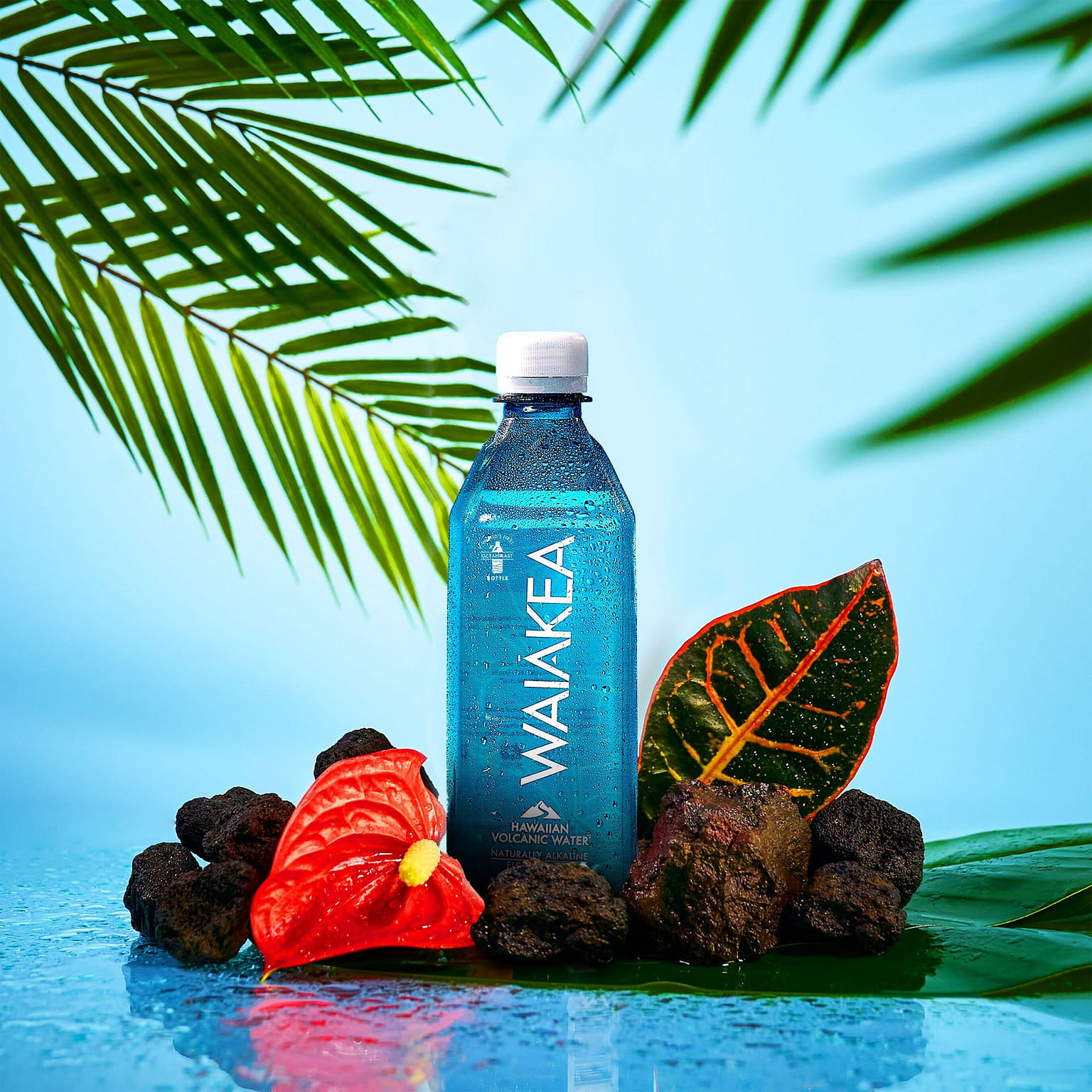 Waiakea Hawaiian Volcanic Water 500mL 12 Pack 1 개