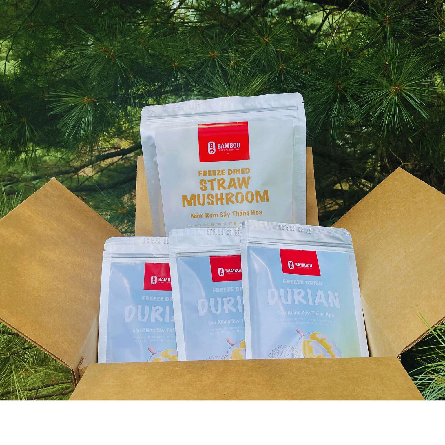 Freeze Dried Fruits & Mushroom - Trial set 4 packs 190 그램