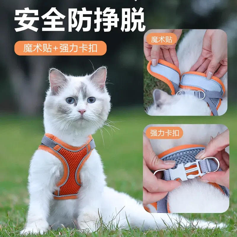 cat leash (Orange-S) 1 개입