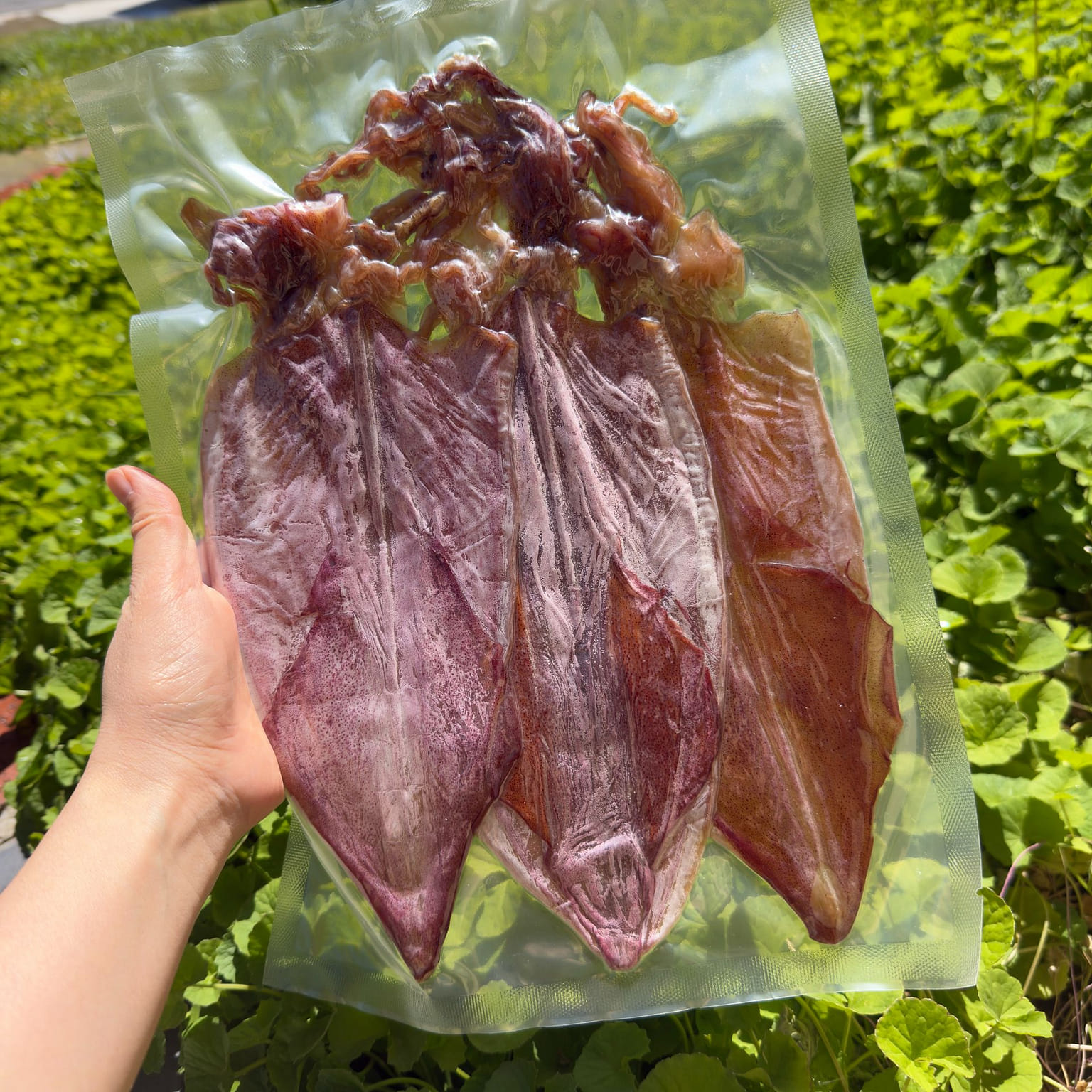 Phu Quoc dried squid - Dried squid 200 g