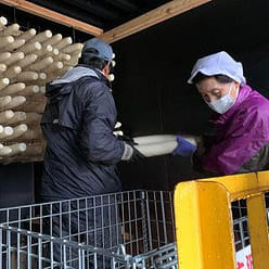 IBURIGAKKO/SMOKED TAKUAN (PICKLED DAIKON RADISH) 80 g