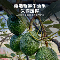 Imported organic avocado oil virgin edible oil 500 ml