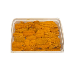 Frozen Chile Uni Sea Urchin 100 g