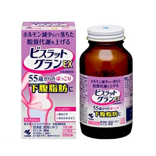 Kobayashi Pharmaceutical Menopause Elimination of Visceral and Abdominal Fat EX 1 병