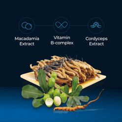 FINE JAPAN Cordyceps Plus (Liquid Cordyceps) 10 bottle