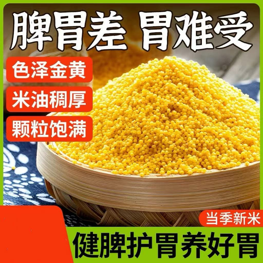Shanxi Yellow Millet, Stomach Nourishing 2500 그램