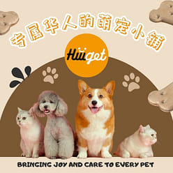 【HiiiGet】新品折扣 宠物用品 可爱狗狗背心牵引绳小蜜蜂 M码 背包 万圣节礼物 网红同款 热销 1 个