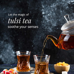 유기농 75개의 바질 차 봉지, 순수한 성 바질 잎 | 허브 바질 차 75 개입