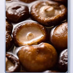 Greater Hinggan Ling Shiitake 250g*1 pack 200 g