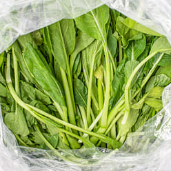 Little Yu Choy Mieu 0.95-1.05 lb