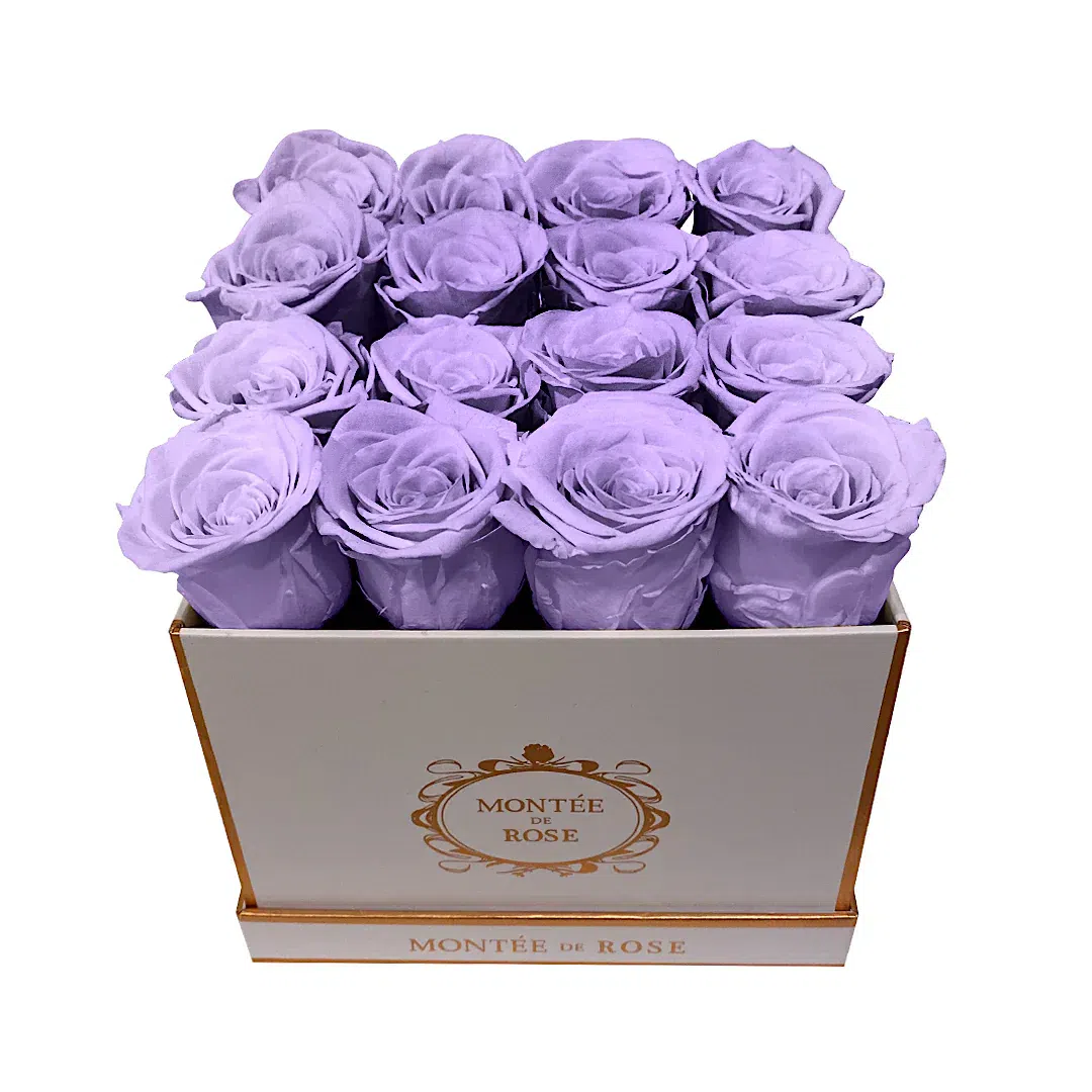 White Medium Square Light Purple 1 each