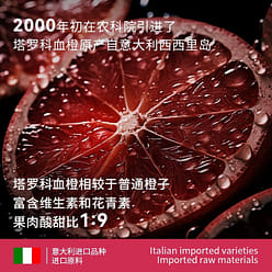 Blood Orange Freeze-Dried Powder 65 g