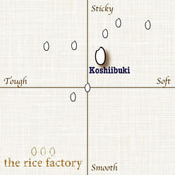 Niigata Koshiibuki (2023 Crop) Brown Rice/15 lb 15 lb