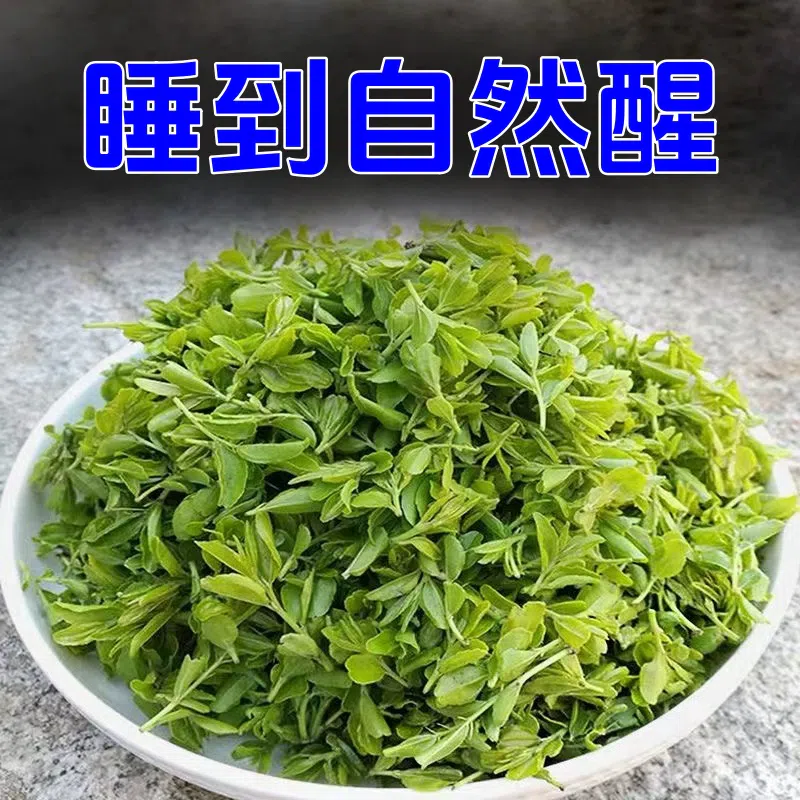 Taishan wild jujube bud tea 30g*1 can 30 กรัม