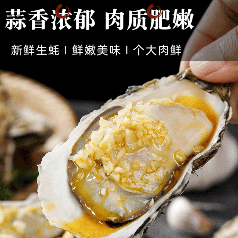 Canned Oysters with Minced Garlic 100 그램