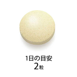 芳珂 支援系列乳酸菌片 60粒/30日量 1 份