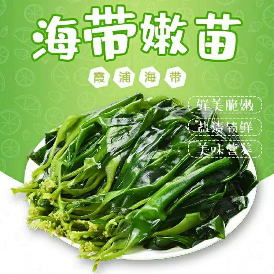 Fresh kelp sprouts500g*1bag 500 그램