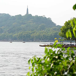 Southern Song Dynasty Hu Ji "Four Arts Pastry 270 g