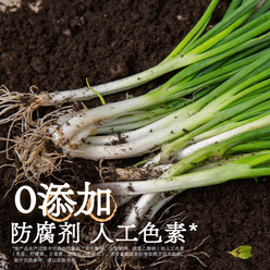 Ramen Talk Scallion Oil Noodles 140 g