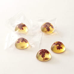 MUJI Japanese Lolly with Plum 1 each