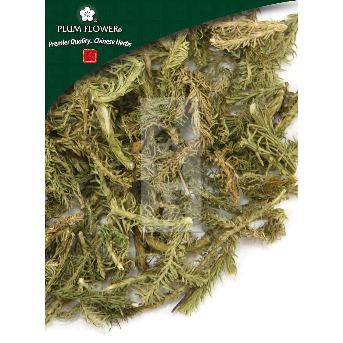 Shen Jin Cao, unsulfured Lycopodium japonicum herb 1 ส่วน
