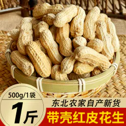 Northeast red-skinned peanut farmer fresh raw shelled red-skinned peanuts 500g*1 bag 500 g