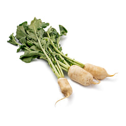 Korean Radish 1 bunch