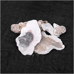 HMT Mu Li Oyster Shell Ostreae Concha 200g 1 each