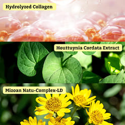 Leaders Insolution Collagen Lifting Skin Renewal Mask Rx (10 Sheets) 10 box