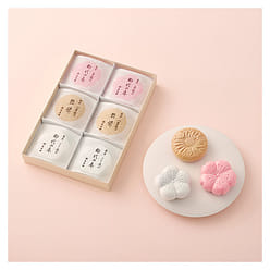 【日本直邮】虎屋 三色最中红豆糕 6块装 1 케이스