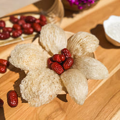 Vinanest Vietnamese Birds Nest USDA FDA 100 g