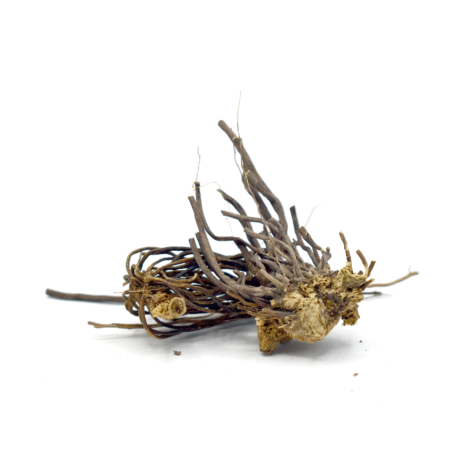 WEI LING XIAN - Clematis Root - Custom Amount 100g 1 개