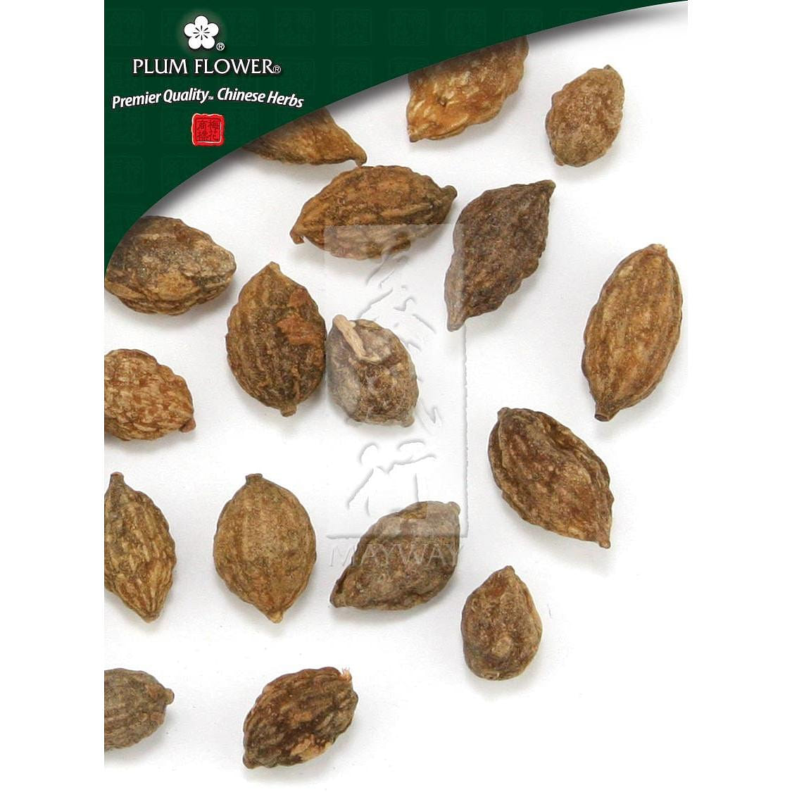 Yi Zhi Ren, unsulfured Alpinia oxyphylla fruit 1 份