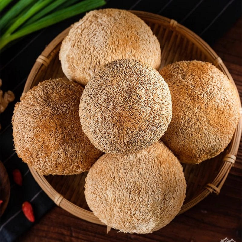 Hericium erinaceus 100 그램