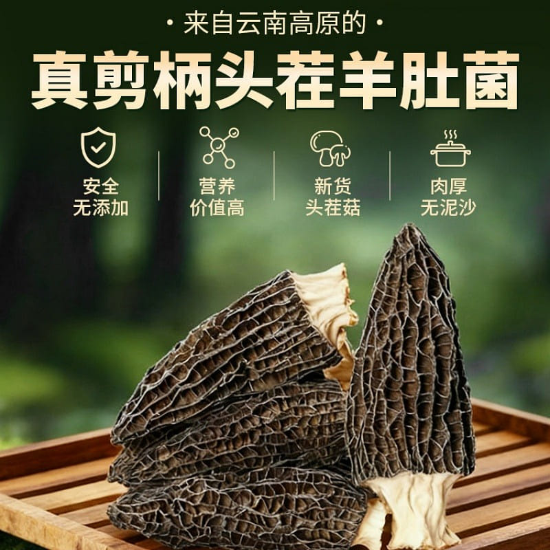 羊肚菌干货非特级野生50g新鲜菌菇煲汤干货食材云南 50 克