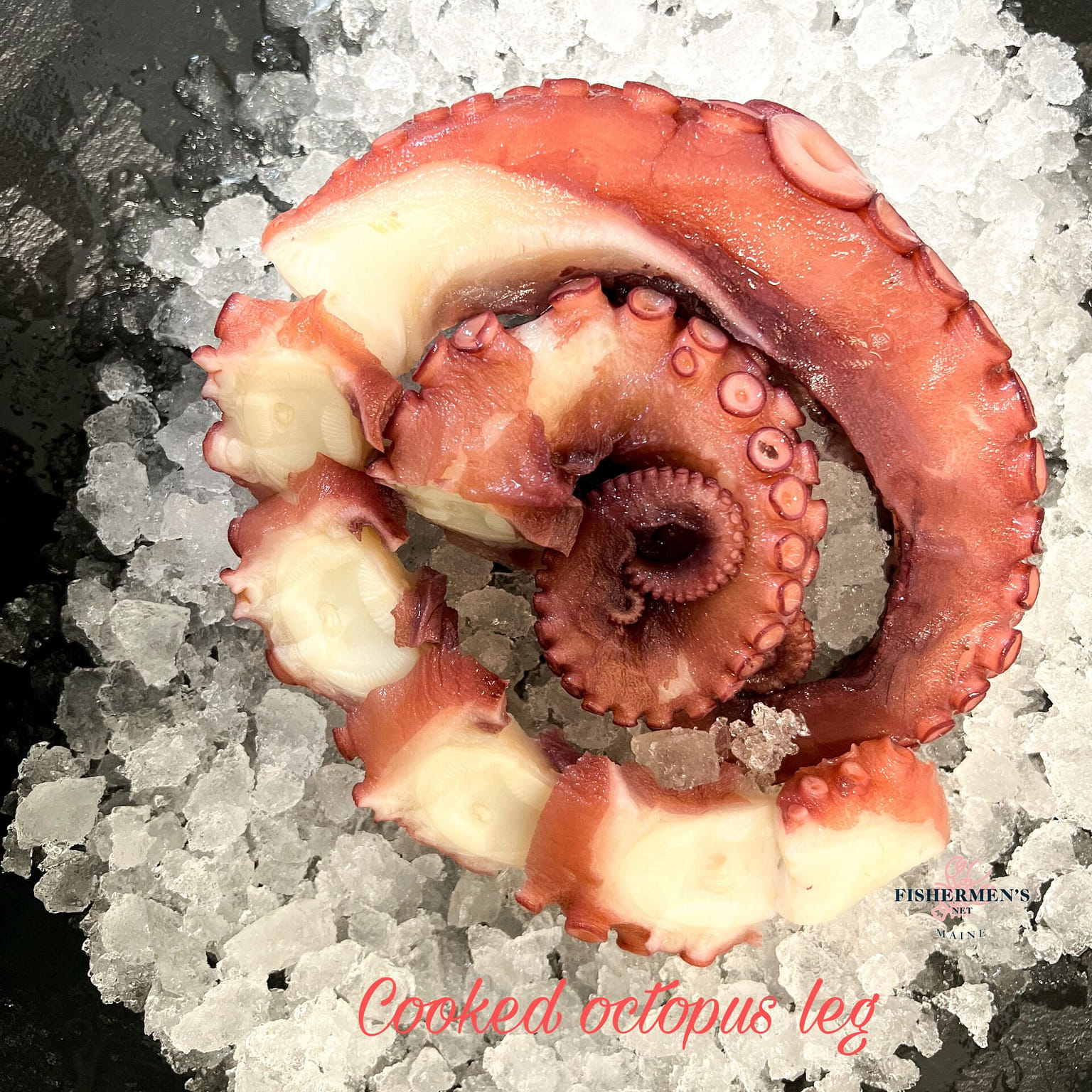 Frozen Steamed Octopus Tentacles - el Rey del Pulpo 1 개입